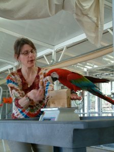 Companion Parrot Workshop January 2005 655