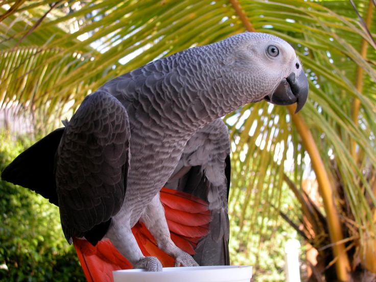 parker photo shoot 010