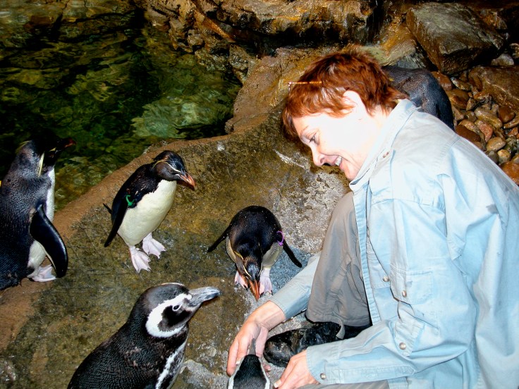 Communing with Penguins