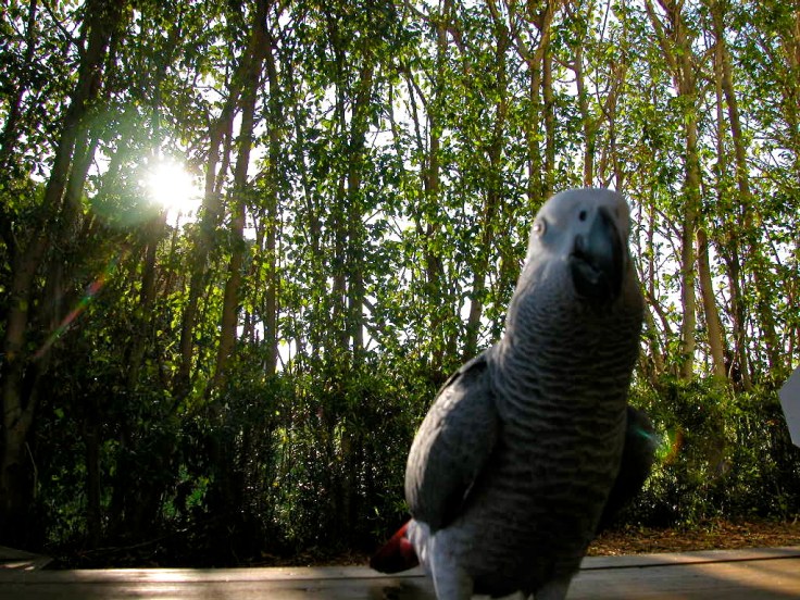 parker photo shoot2 001