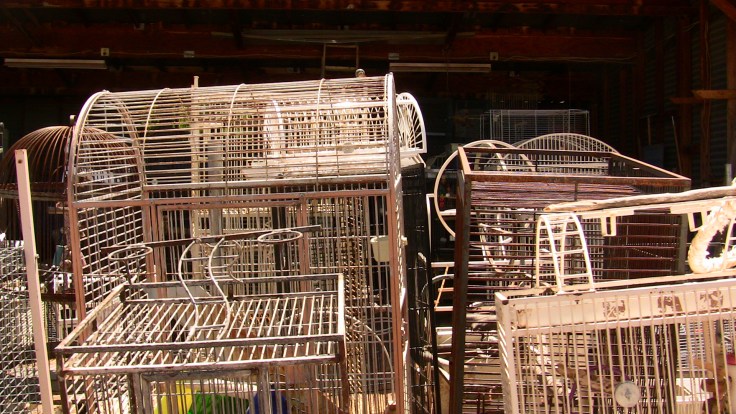 cage graveyard