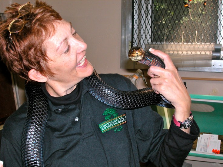 Patricia Sund Black Indigo Snake