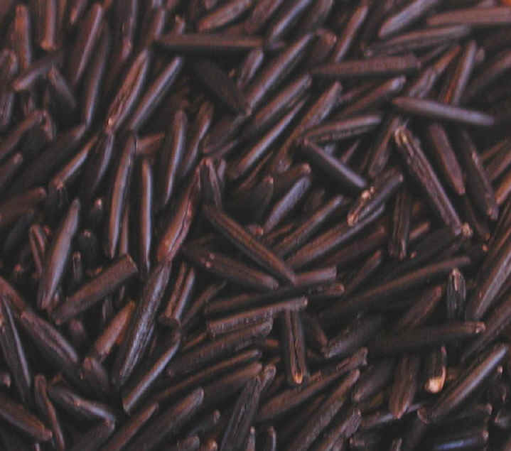 wild_rice