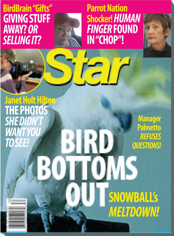 527778_10151454412931598_1832225461_n