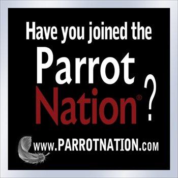 Chop window cling web