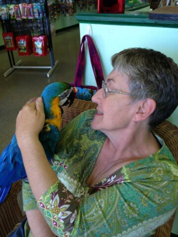 578532_519921114718399_398130956_n