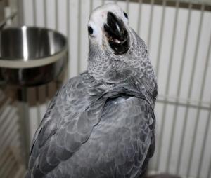 599124_10200339690348622_1142941445_n