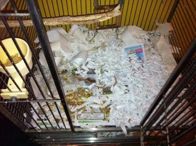 1005881_10200635686148771_1564938973_n