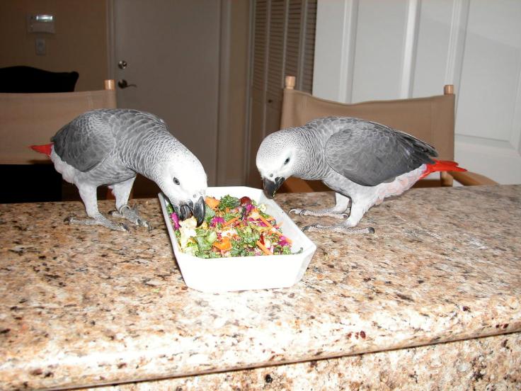 byron and parker sept 035