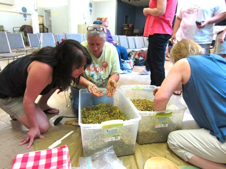 1014457_10151499578965060_868378580_n