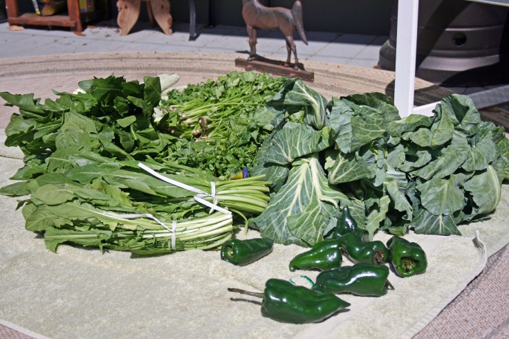 Copyright J Hilton20120327making chop0014_edited-1