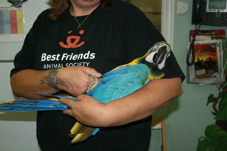 1073100_610402835661306_457375096_o