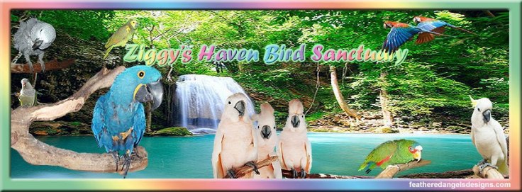 392756_10151586278287238_873843671_n