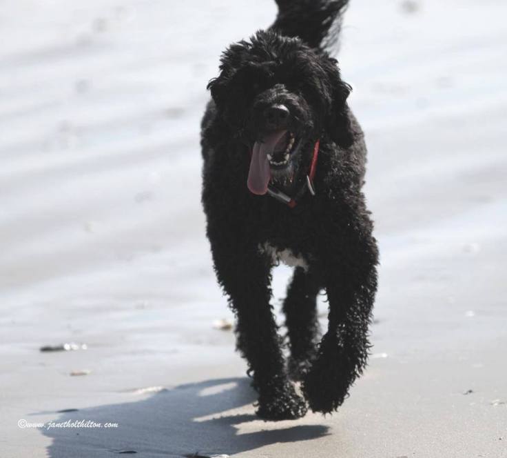 1381452_10201429501633662_473173664_n