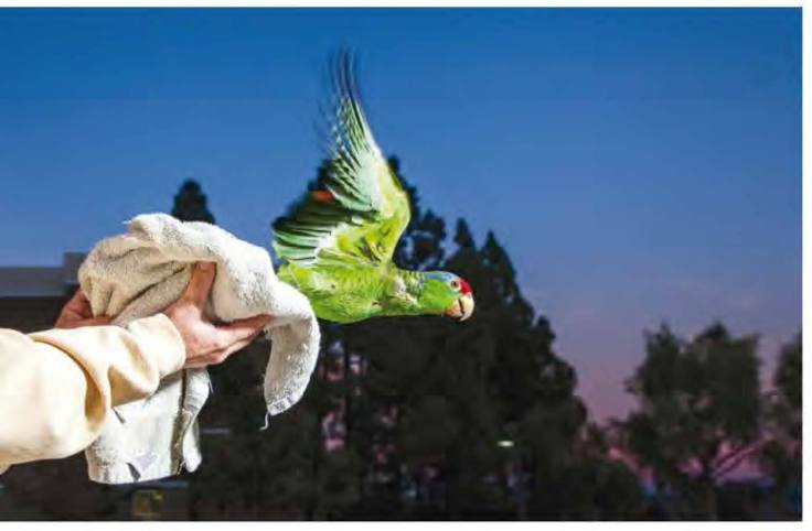 12238381_998251833550302_2245649710394812814_o